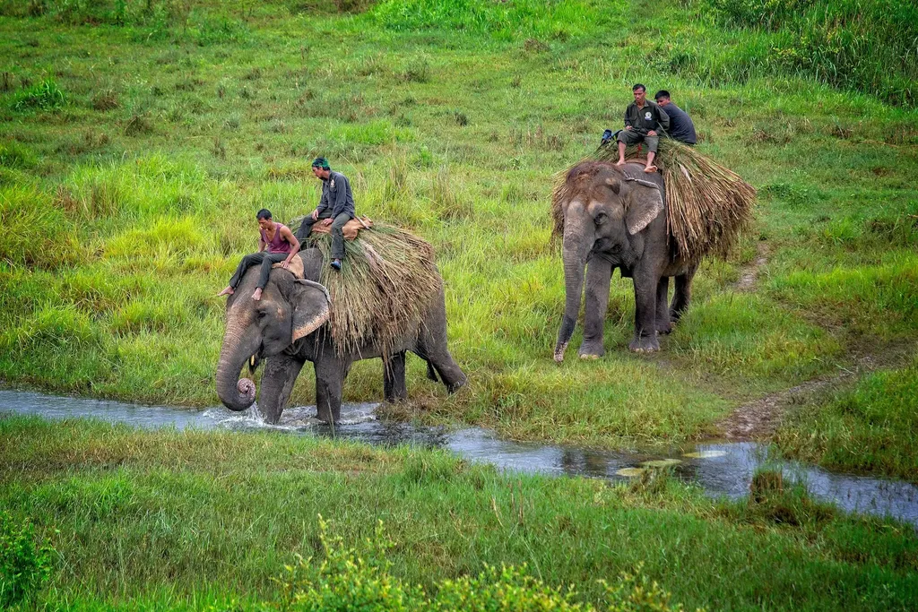 チトワン国立公園ツアー — 写真 3